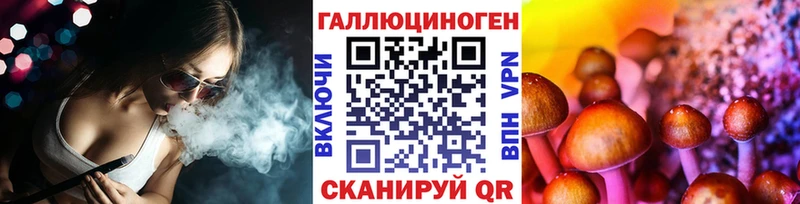 Купить где  Краснозаводск  Псилоцибиновые грибы GOLDEN TEACHER 
